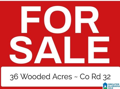 0-0 County Road 32, Greensboro, AL, 36744 | Card Image