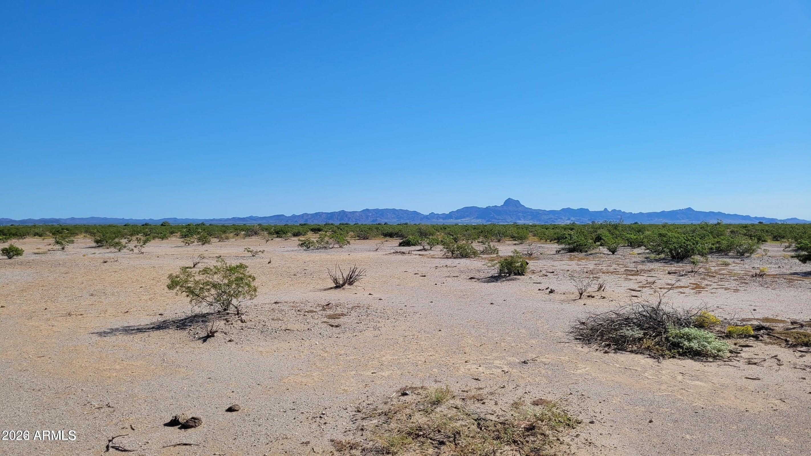 Land in Tonopah