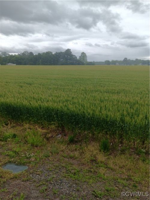 Kino Road Desha Road Landing, Essex, VA, 22454 | Card Image