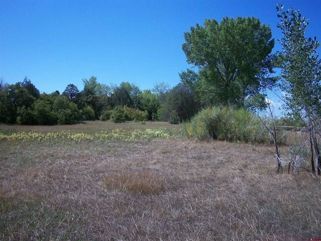 13989 Road 35.6, Home with 0 bedrooms, 0 bathrooms and null parking in Mancos CO | Image 13