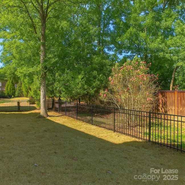 Fenced Back Yard | Image 22