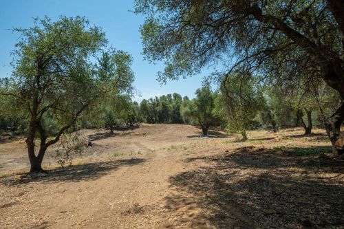 3326 Sand Ridge Rd, Placerville, CA, 95667-8182 | Card Image