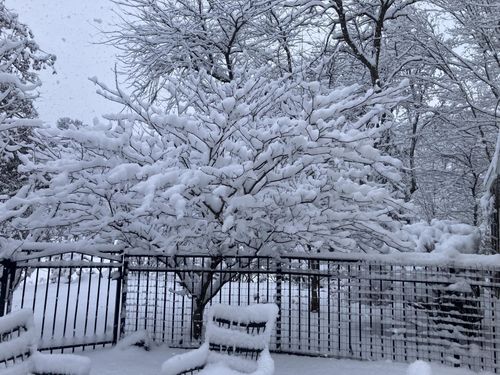 85 College Rd, Stratham, NH, 03885-2304 | Card Image