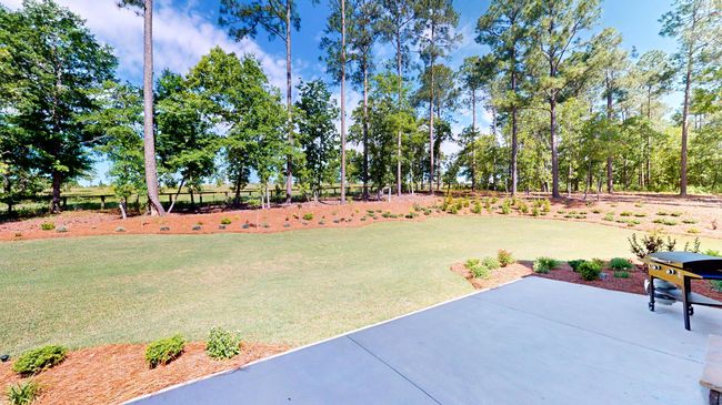 243 Walton Heath Way, House other with 4 bedrooms, 4 bathrooms and null parking in Aiken SC | Image 58