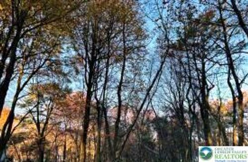 1807 Penn Forest Dr, Albrightsville, PA, 18210 | Card Image