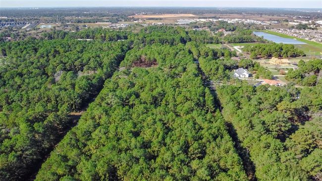0 Grant Rd, Home with 0 bedrooms, 0 bathrooms and null parking in Cypress TX | Image 8
