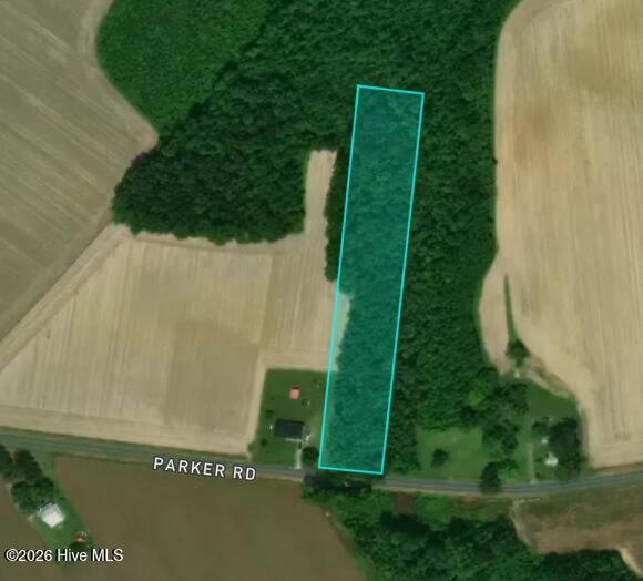 Land in Conway 2