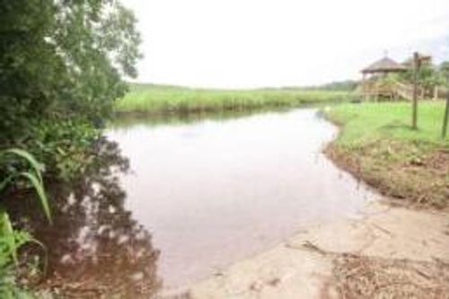 0 Bolen Point Ave, Green Pond, SC, 29446 | Card Image