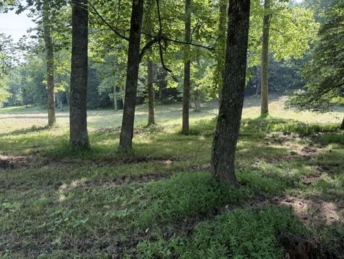 0 Lot 6 Clear Creek Preserve Way, Ellijay, GA, 30536 | Card Image