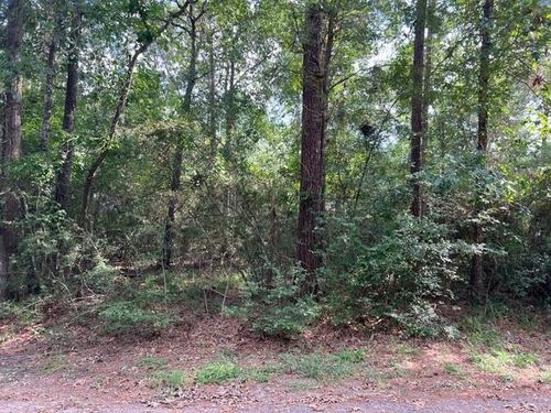 1006 Jefferson River Cir, Montgomery, TX, 77316-6151 | Card Image