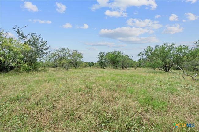3597 Baker Rd, Home with 0 bedrooms, 0 bathrooms and null parking in Kingsbury TX | Image 18