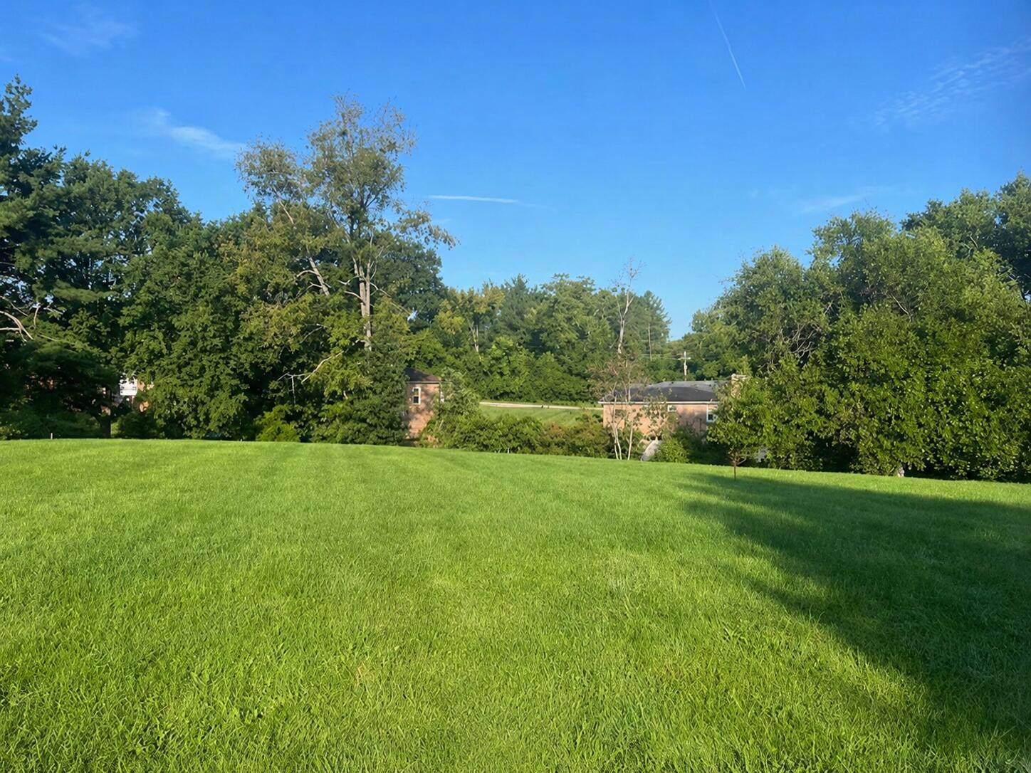 Land in Frankfort 2