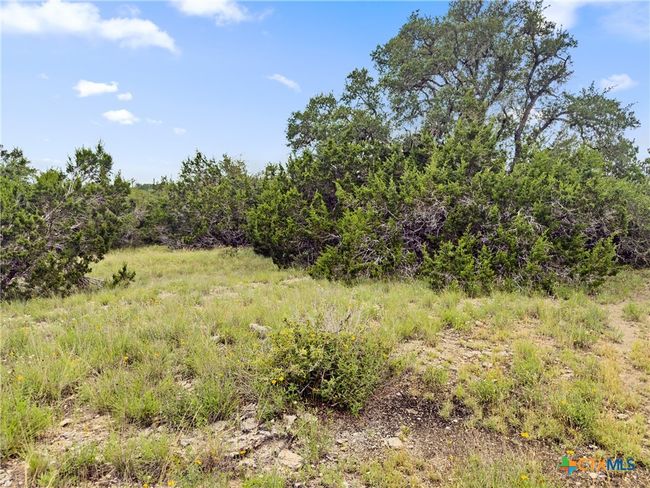 141 Vista View Pl, Home with 0 bedrooms, 0 bathrooms and null parking in Spring Branch TX | Image 10