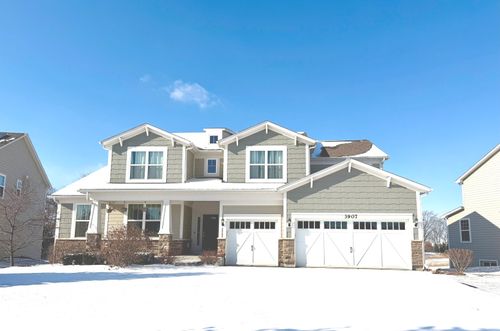 3907 Nannyberry St, Naperville, IL, 60564-2024 | Card Image