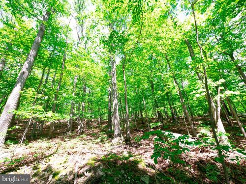 LOTS 8 &amp; 9 Elk Trail, WINCHESTER, VA, 22602 | Card Image