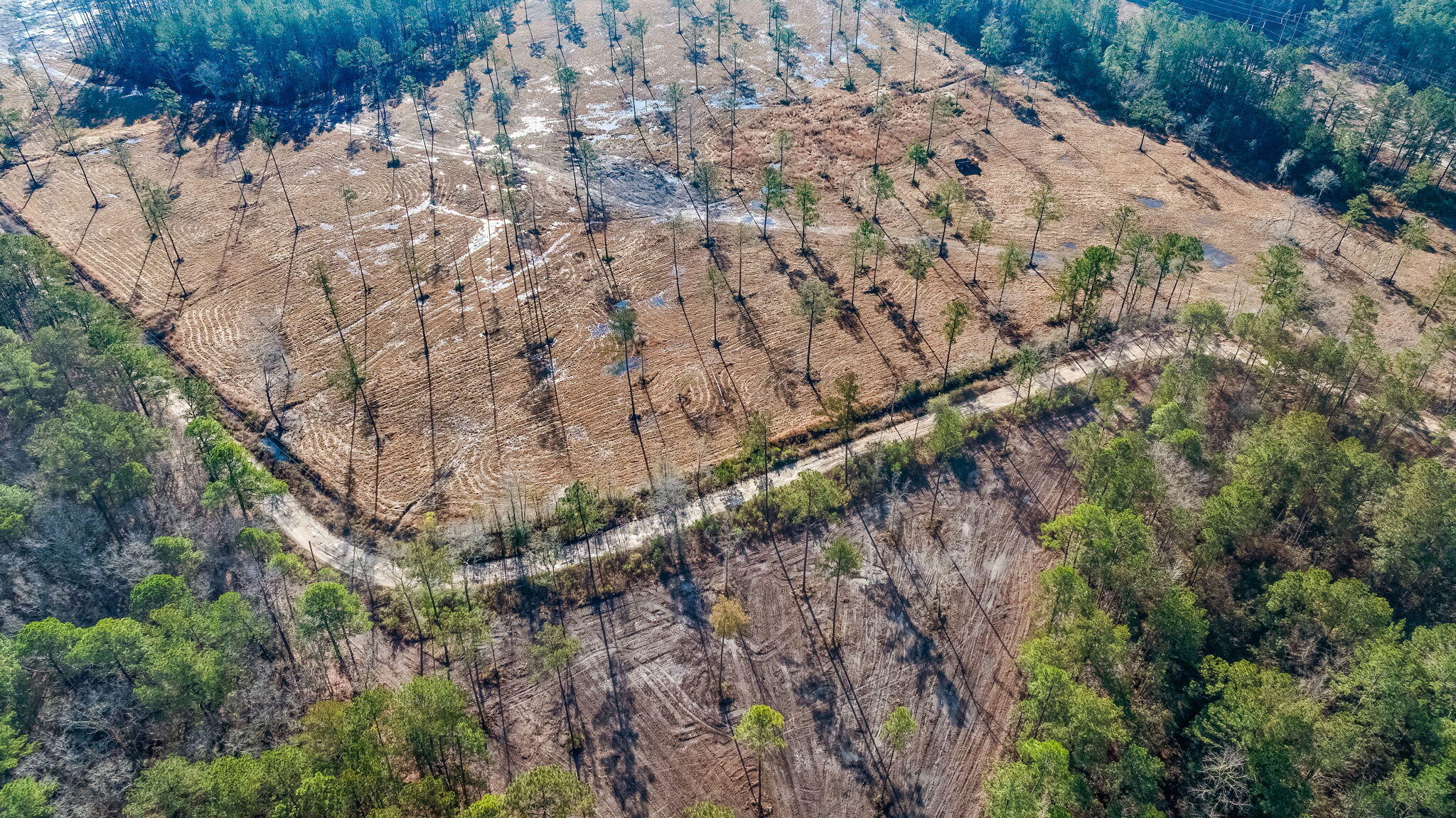 Land in Cottageville 4