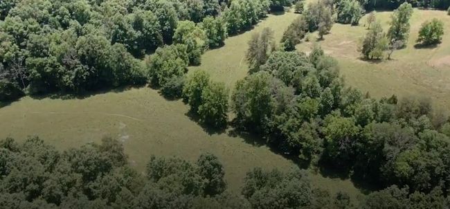 33.64 ac Davis Rd, Home with 0 bedrooms, 0 bathrooms and null parking in Livingston TN | Image 13