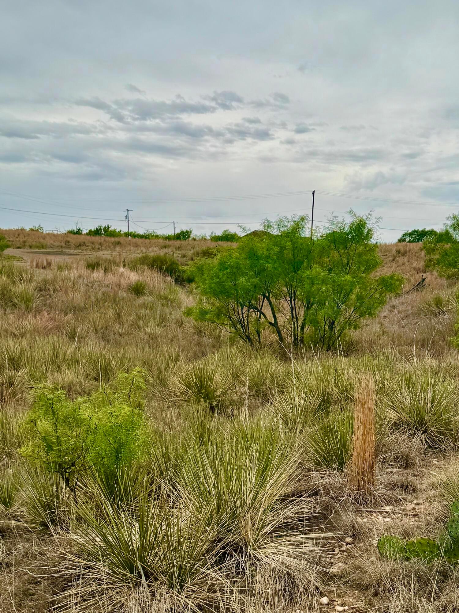 Land in Fritch 3