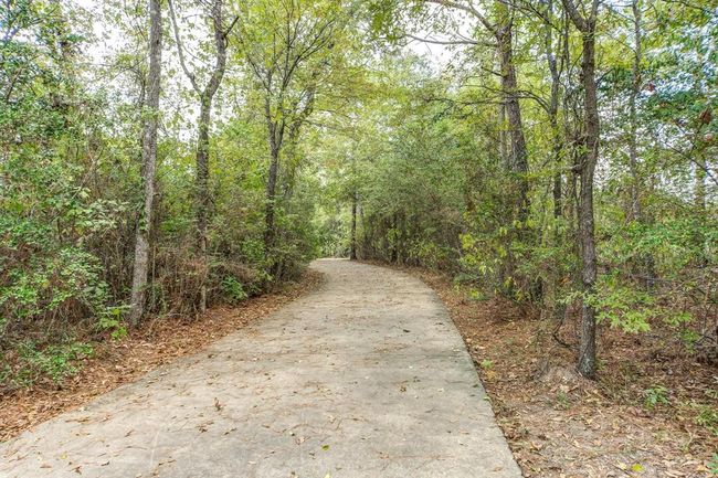 Five local parks feature pavilions, sports courts and fields, picnic and swimming facilities, and miles of walking and biking trails. Barton Creek Ranch is the perfect home base for fishing, birding, golfing and camping enthusiasts of all ages! | Image 17