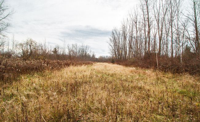 6152 Old State Rd, Home with 0 bedrooms, 1 bathrooms and null parking in North Branch MI | Image 30