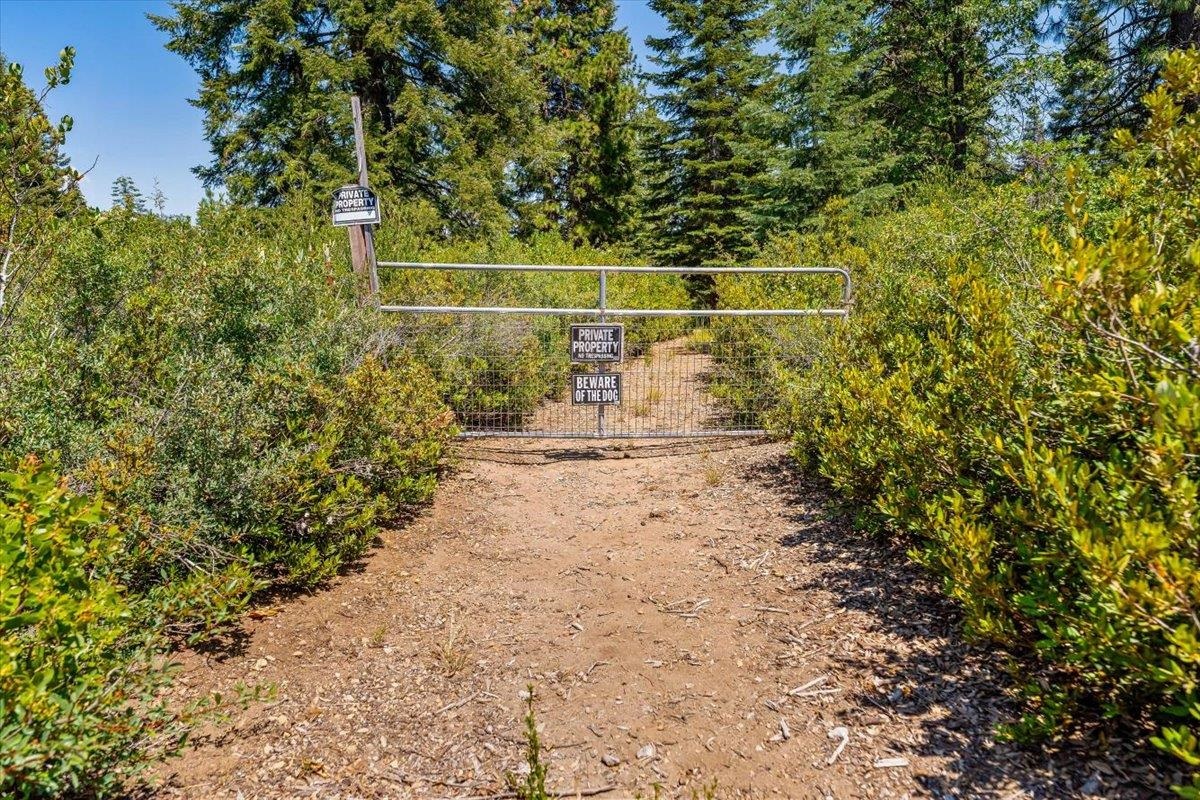 Land in McCloud 3