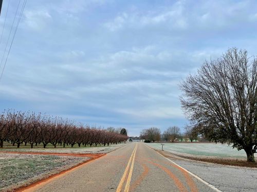 905 Henderson Rd, chesnee, SC, 29323-9325 | Card Image