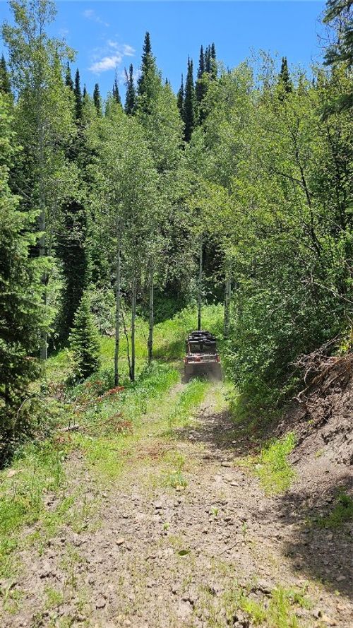 TBD Rcr 50, Steamboat Springs, CO, 80487 | Card Image