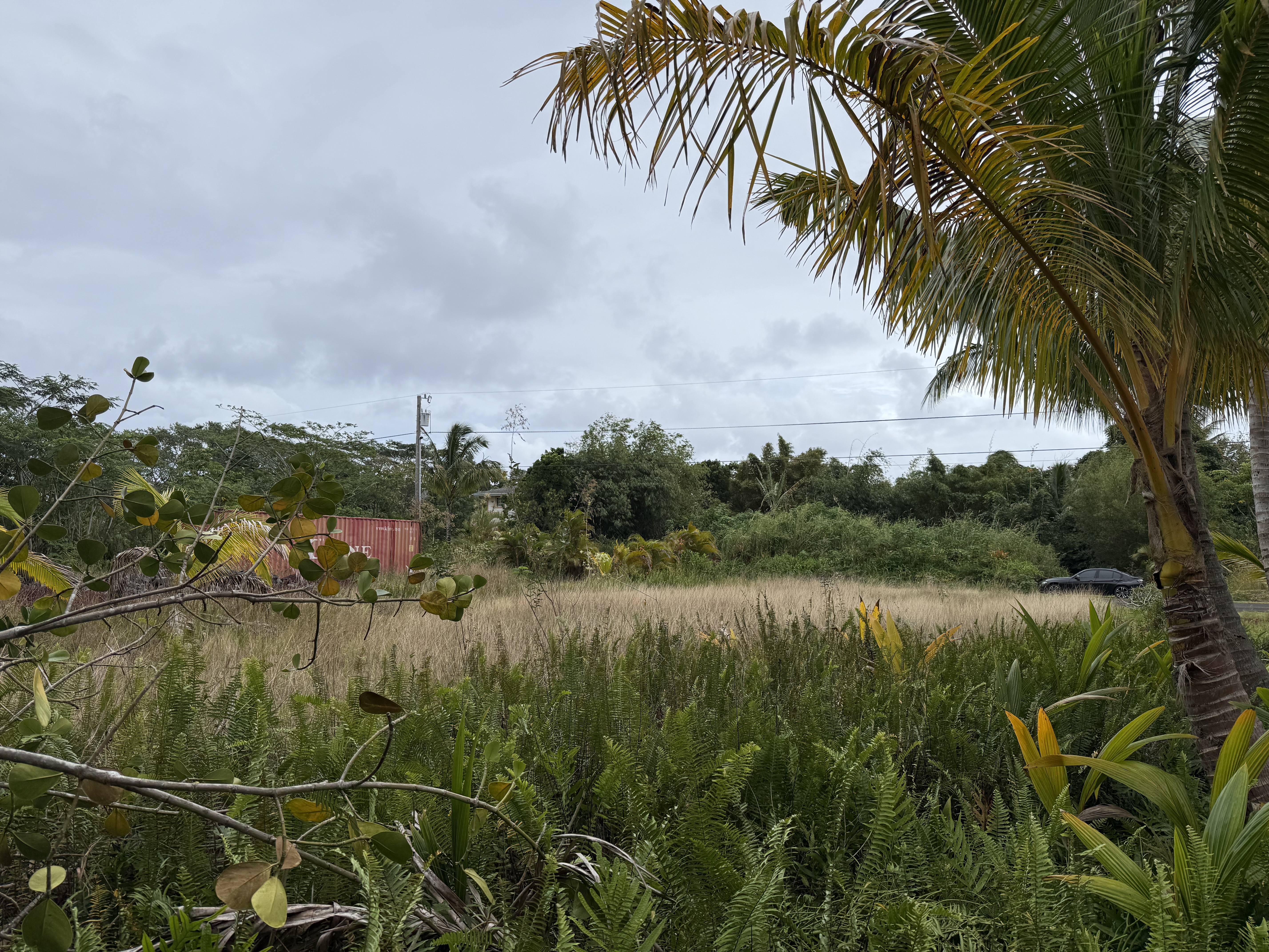 Land in Pahoa