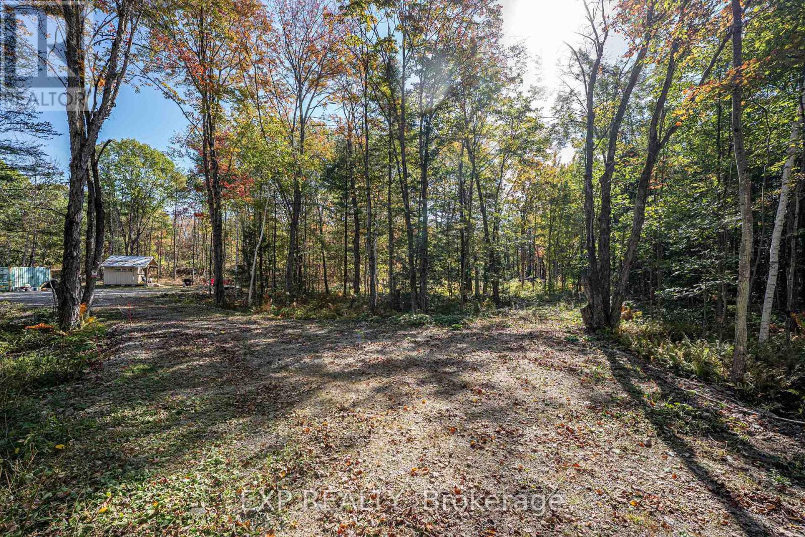 Land in Gravenhurst (Wood (Gravenhurst)) 4