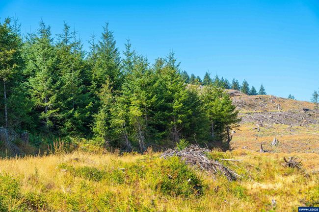0 Bald Mountain Rd, Home with 0 bedrooms, 0 bathrooms and null parking in Beaver OR | Image 24