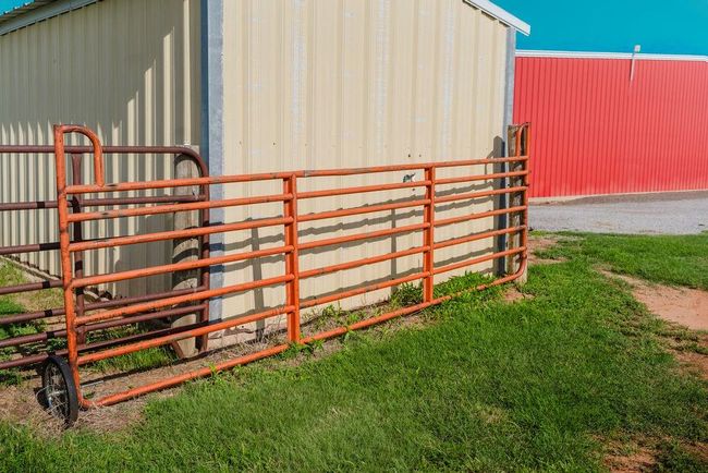 working cattle panels on 80 acres | Image 47