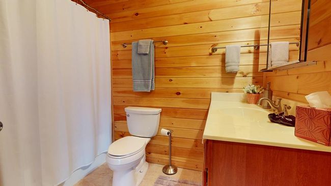 154 Windermere Way, House other with 4 bedrooms, 4 bathrooms and 2 parking in Fancy Gap VA | Image 21