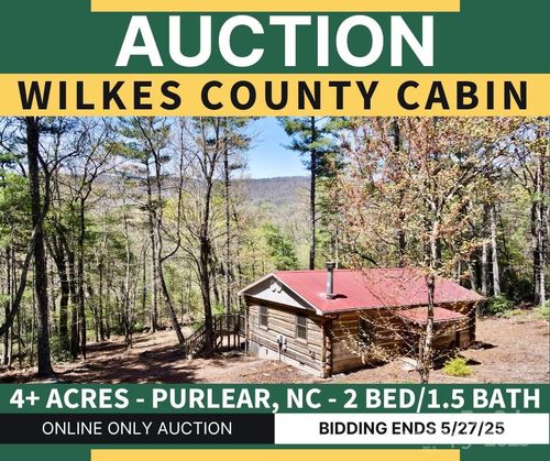 393 Grassy Ridge Ln, Purlear, NC, 28665 | Card Image