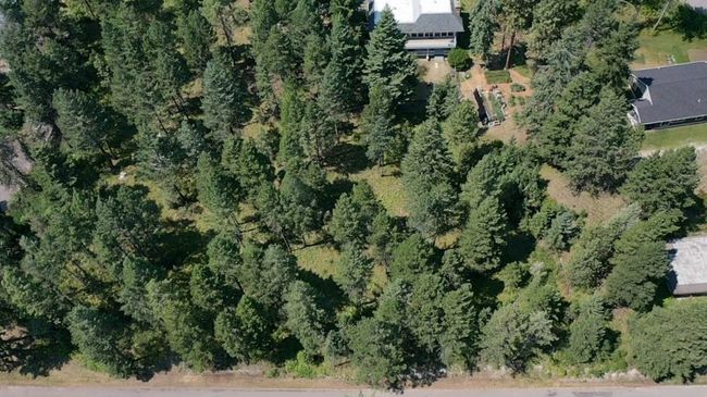 VIRGIN TIMBER AERIAL | Image 6
