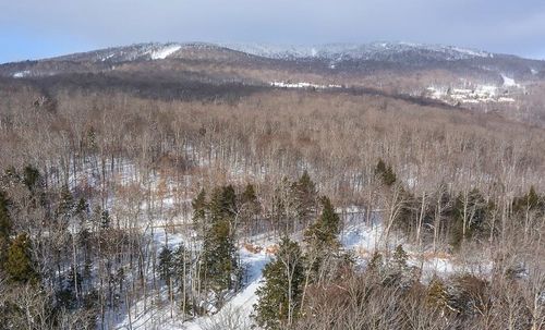 Lot 1 Timber Creek Rd, Ludlow, VT, 05149 | Card Image