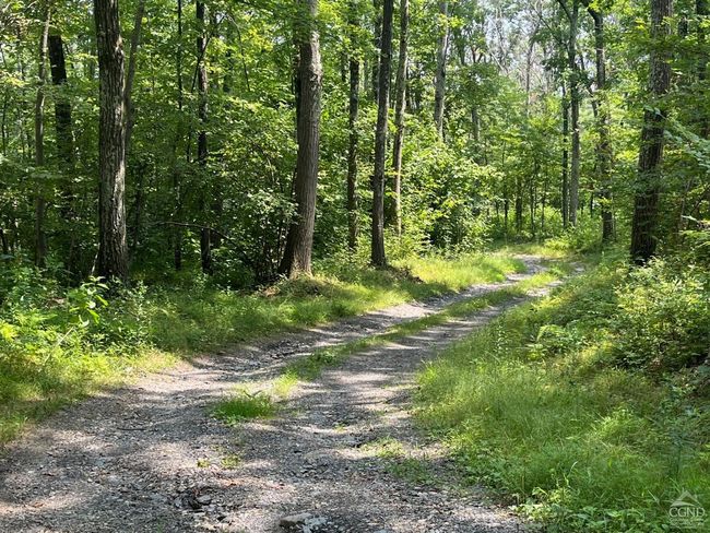 0 Cascade Mountain Rd, Home with 0 bedrooms, 0 bathrooms and null parking in Amenia NY | Image 11