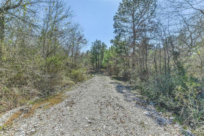 35 Old Sign Rd, Home with 1 bedrooms, 1 bathrooms and null parking in Midway TX | Image 13