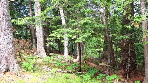 25152 Airline Road, Amherst, ME, 04605 | Card Image