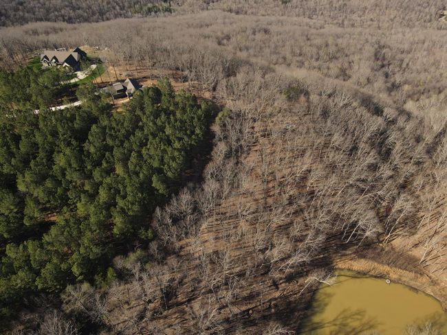 80 High Point Ln, Home with 0 bedrooms, 0 bathrooms and null parking in Jasper TN | Image 135
