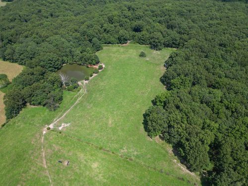 000 Coon Creek Rd, Hartville, MO, 65667 | Card Image