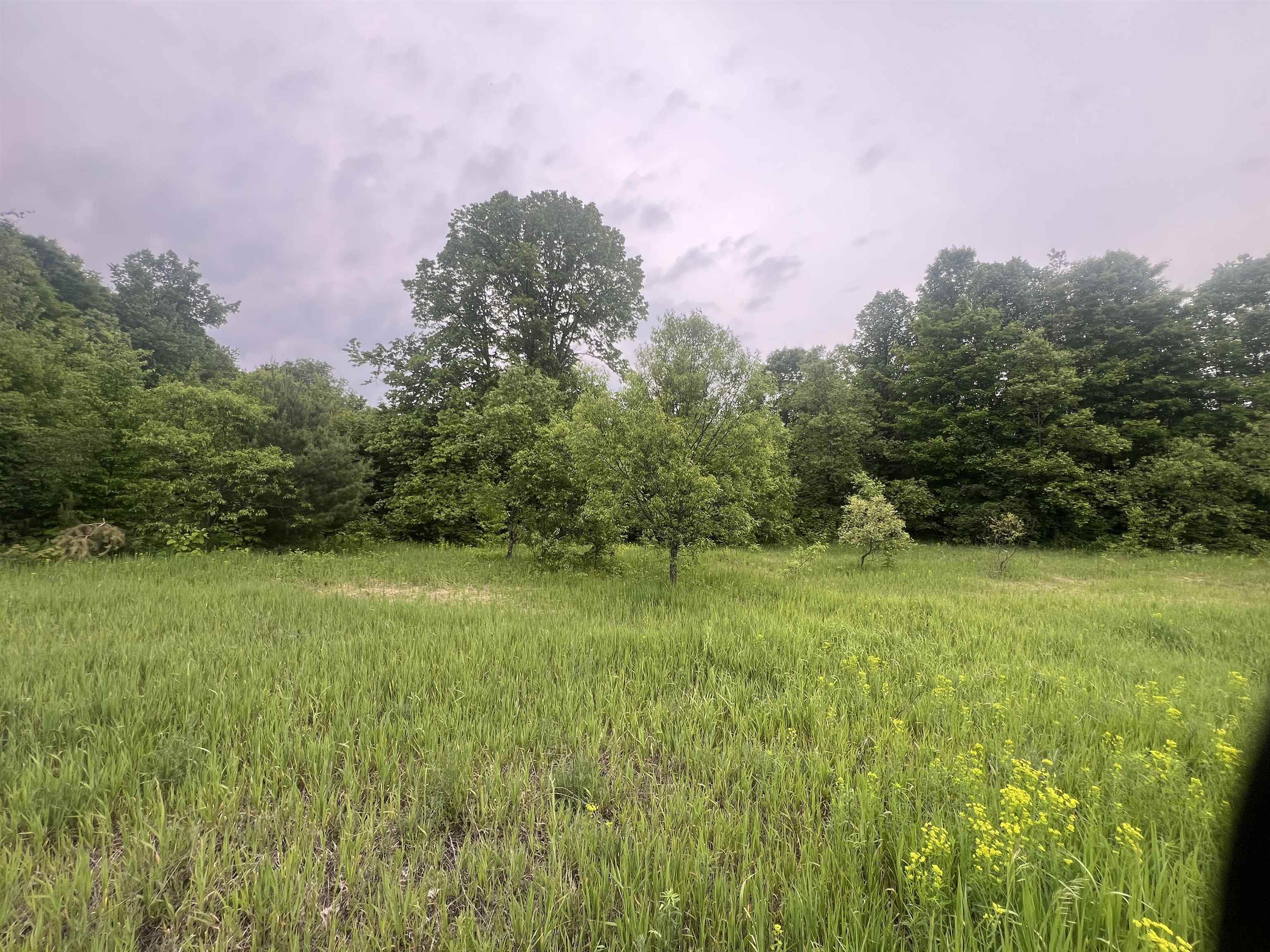 Land in Coldsprings Township 4