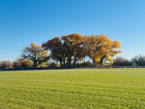 105 Zia Lane Lane, Veguita, NM, 87062 | Card Image