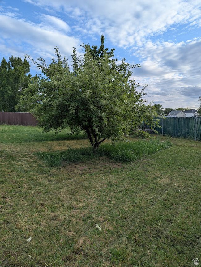 View of yard | Image 29