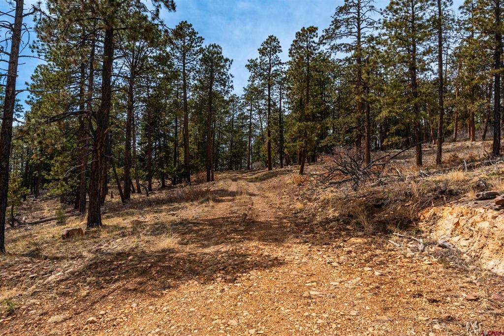 Land in Durango 3