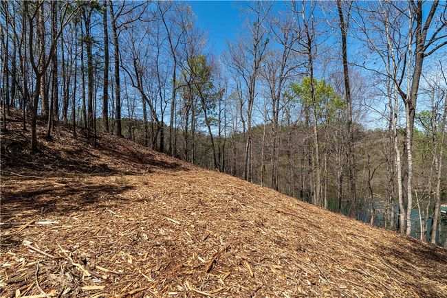 34 Crystal Cove Trl, Home with 0 bedrooms, 0 bathrooms and null parking in Salem SC | Image 8