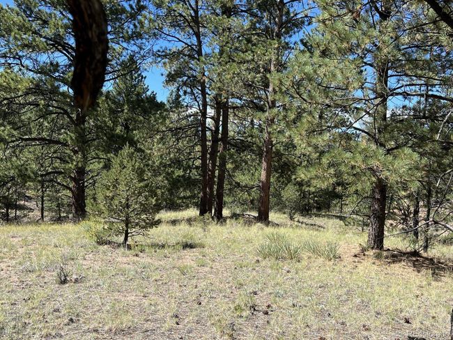 82 Kiowa Cir, Home with 0 bedrooms, 0 bathrooms and null parking in Westcliffe CO | Image 12