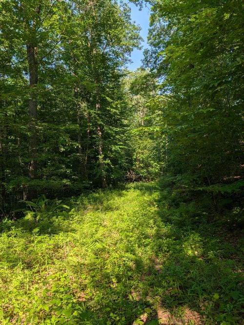 Parcel 5 West Y Rd, Exeland, WI, 54835 | Card Image