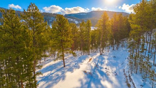 7 Wilderness Trl, Newcastle, WY, 82701-9608 | Card Image