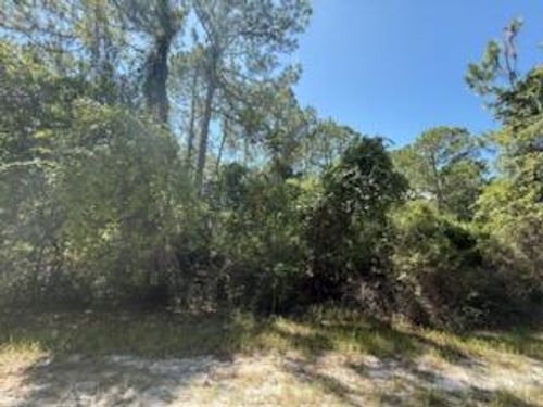 337 Palm Way, Georgetown, FL, 32139 | Card Image