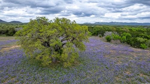 2229 County Road 390, Camp Wood, TX, 78833 | Card Image